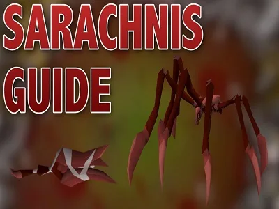 osrs sarachnis guide
