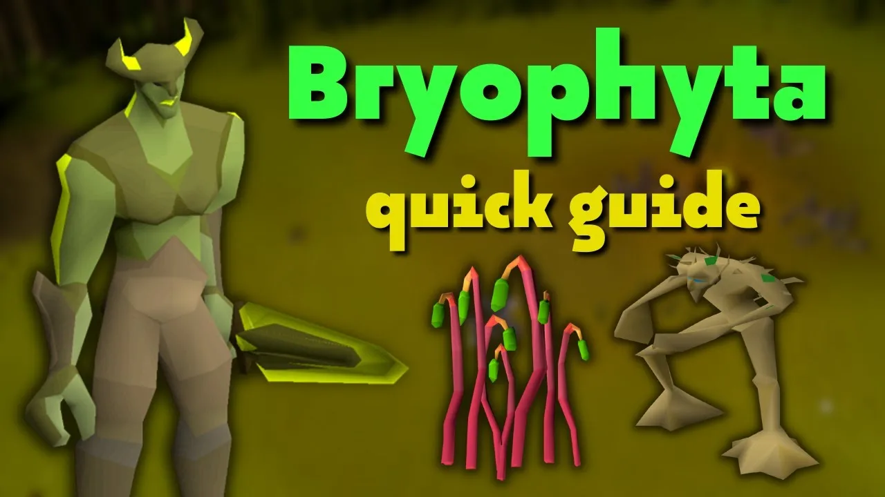OSRS Bryophyta Guide | Setup, Strategy &