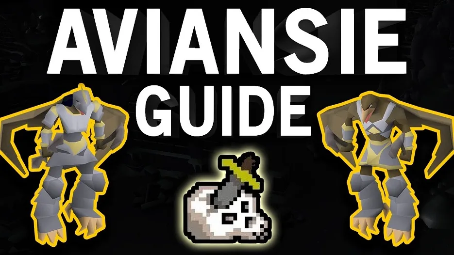 osrs Aviansies guide