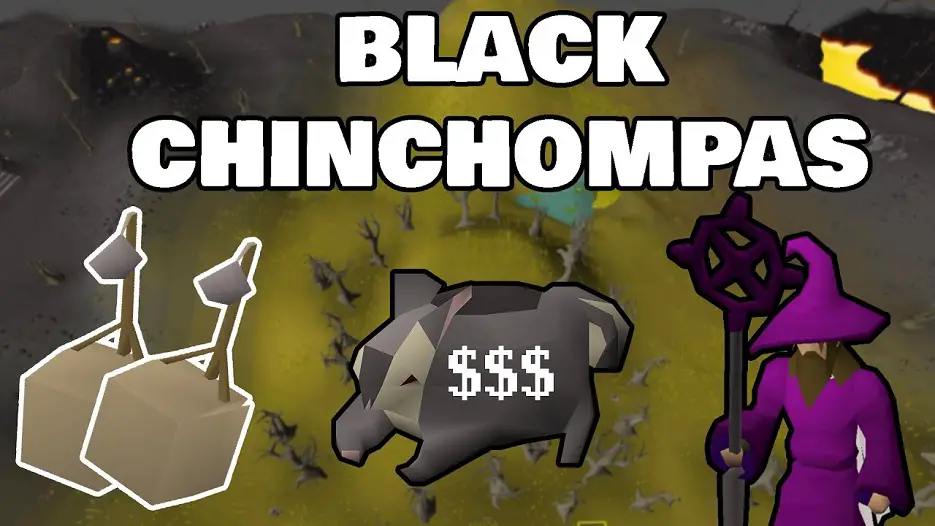 osrs black Chinchompas guide