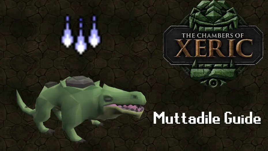 osrs muttadiles guide