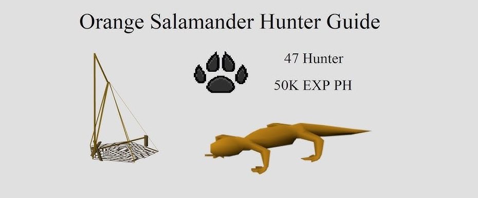 osrs orange salamander guide