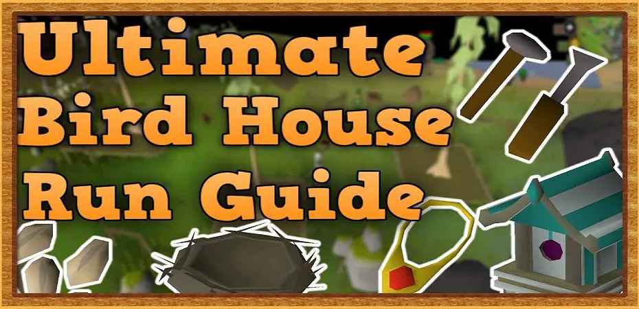 osrs bird house guide