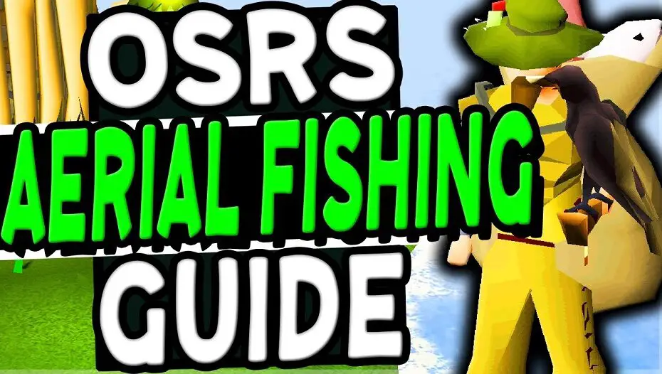 osrs ariel fishing guide