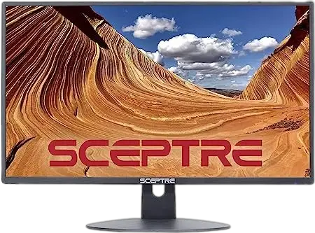 Sceptre 24" LED Monitor for gaming on osrs